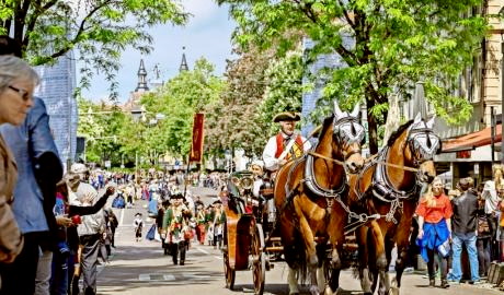 Urlaub Deutschland Reisen - Pferdemarkt im Mai